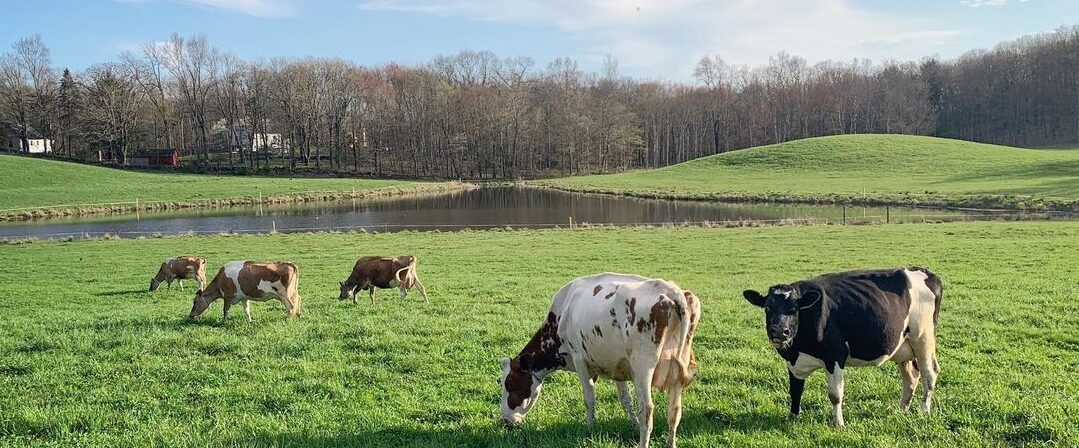 Freedom Hill Farm LLC